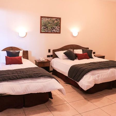 וינאר Hotel Garra De Leon מראה חיצוני תמונה