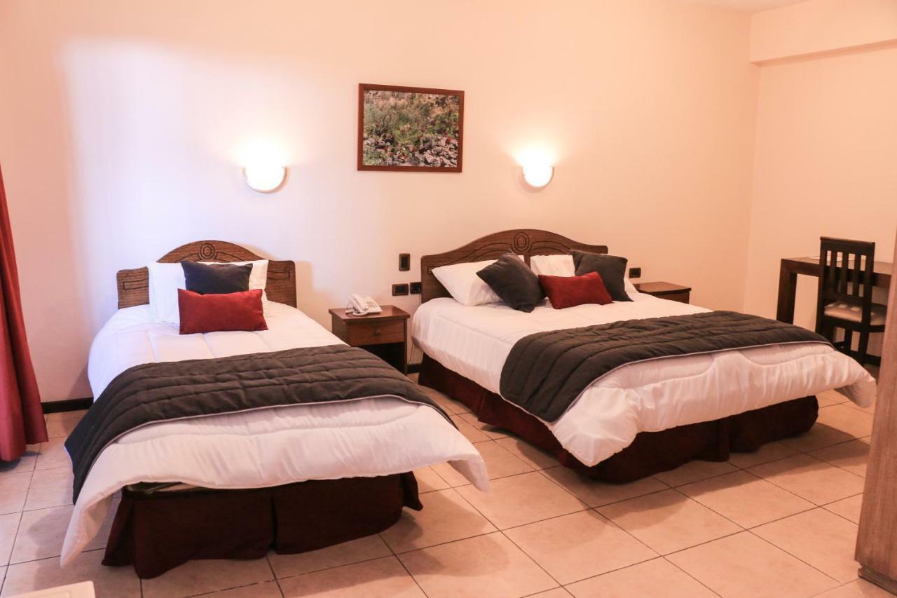 וינאר Hotel Garra De Leon מראה חיצוני תמונה